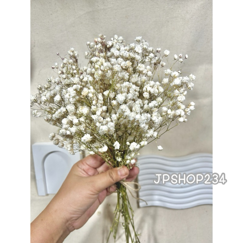 Gypsophila ยิปโซแห้ง ดอกไม้แห้ง ดอกยิปโซตากแห้งกำใหญ่ดอกฟู (F2) ราคา ถูกที่สุด ดีลบีเคเค แกลเลอรีภาพที่ 9