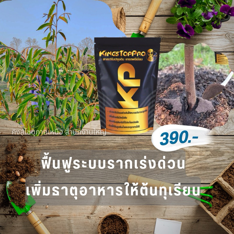คิงส์ท็อปโปร(kingstoppro)