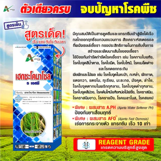เฮกซะโคนาโซล 5 SC. (สูตรเย็น) ฉีดผ่าดอกได้ กำจัดโรคพืช โรคใบไหม้ ใบจุด แอนแทรคโนส กาบใบแห้ง เอเจนต้า คอร์ป 1 ลิตร