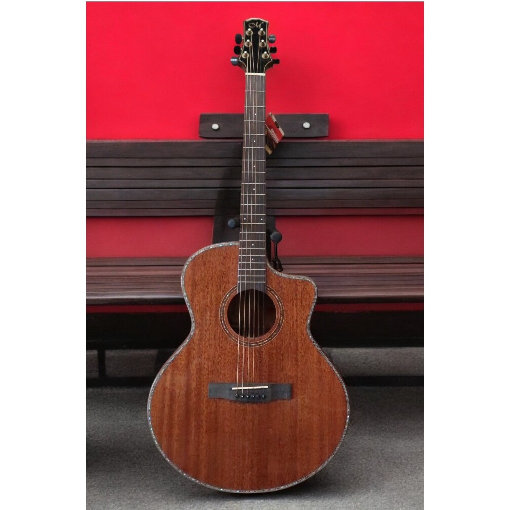 กีต้าร์โปร่งไฟฟ้า Matrixss