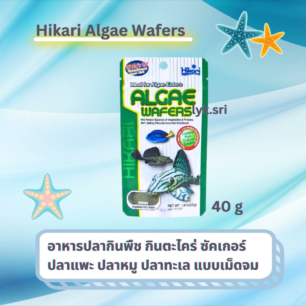 Hikari Algae Wafers (อาหารปลากินพืช กินตะไคร่ ซัคเกอร์ ปลาแพะ ปลาหมู ปลาทะเล แบบเม็ดจม)