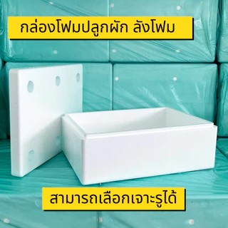 กล่องโฟมปลูกผัก กล่องโฟม ลังโฟม ปลูกผักไฮโดร กล่องใส่กุ้ง กล่องลังโฟม กล่องกุ้ง 10KG. ไฮโดรโปนิกซ์