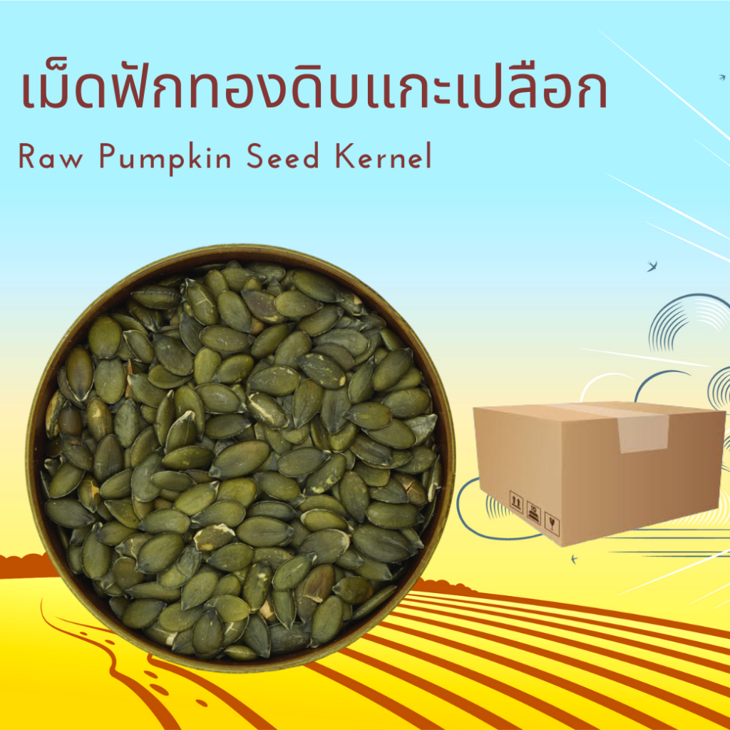 เมล็ดฟักทองดิบแกะเปลือก Raw Pumpkin Seed Kernel