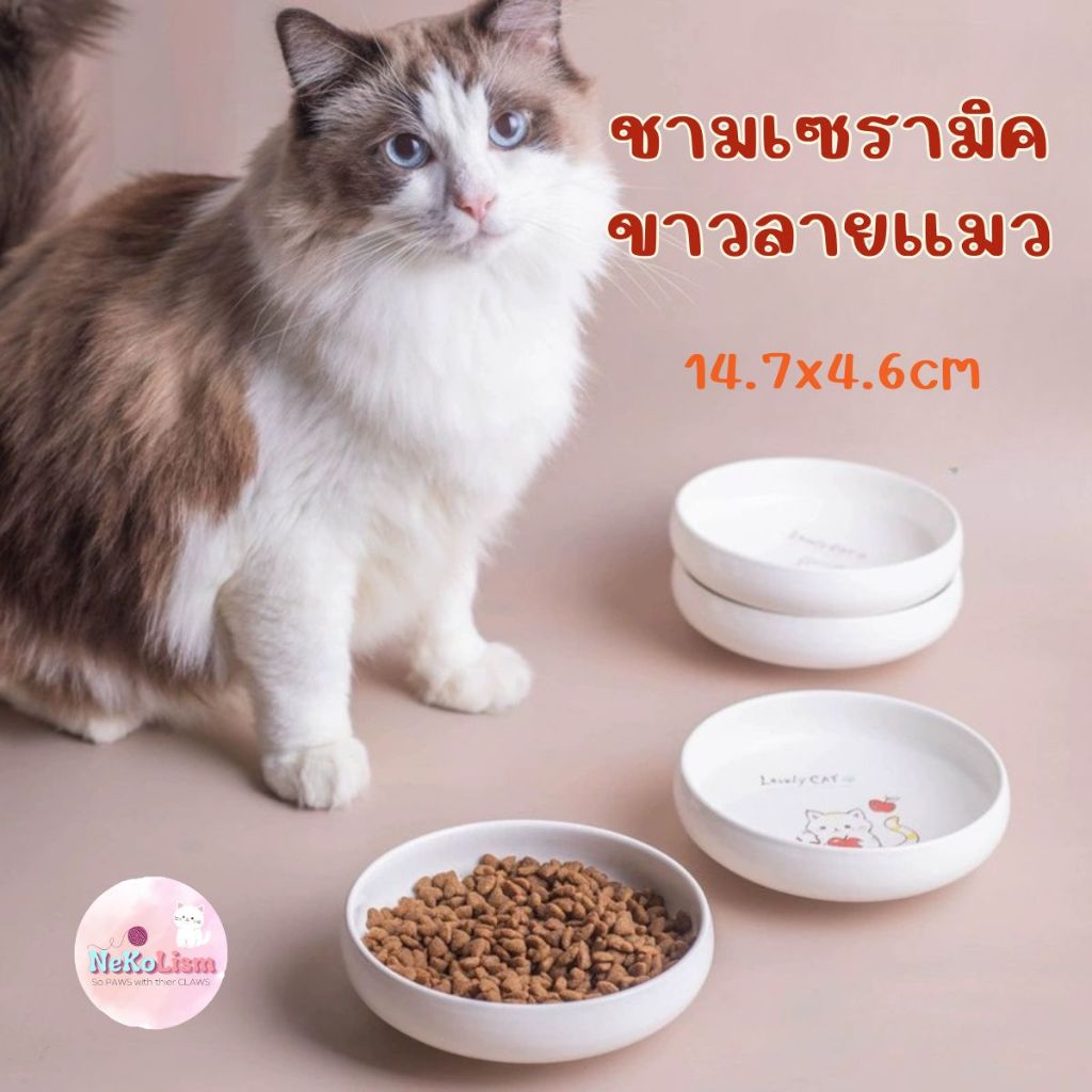 ชามเซรามิคขาวลายแมว เซรามิก สุนัข หมา 14.7x4.6cm จานข้าวสัตว์เลี้ยง Bowl
