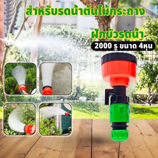 💥จัดส่งที่รวดเร็ว💥ฝักบัวรดน้ำ 2000 รู และ 1000 รู ขนาด 4หุน,5-6หุน ฝักบัวรดน้ำแคคตัส ฝักบัวรดน้ำบอนไซ ฝักบัวรดน้ำต้นไม้
