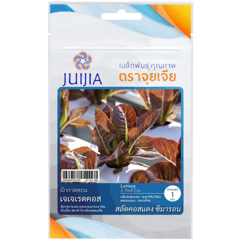 เมล็ดพันธ์ุผักกาดหอมเจเจเรดคอส ชิมารอน