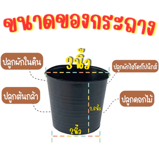 กระถาง 3 นิ้ว ปลูกผักไร้ดิน ปลูกผักในดิน สามารถใช้ปลูกผักในกล่องโฟม กระถาง 3 นิ้ว สีดำ เหนียว ทน