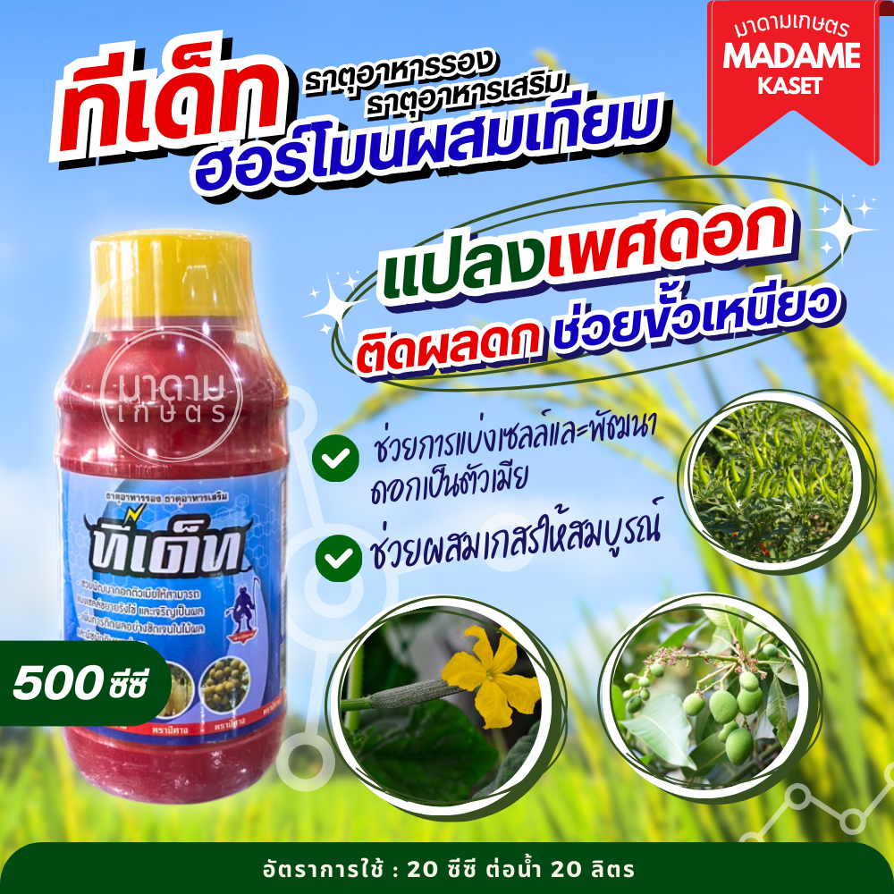 ทีเด็ท ตราปีศาจ 500 ซีซี ฮอร์โมนเพิ่มการติดผลสูตรผสมเทียม ช่วยแบ่งเซลล์และพัฒนาดอกตัวเมีย ช่วยให้ติดผลดก เพิ่มการติดผลดี