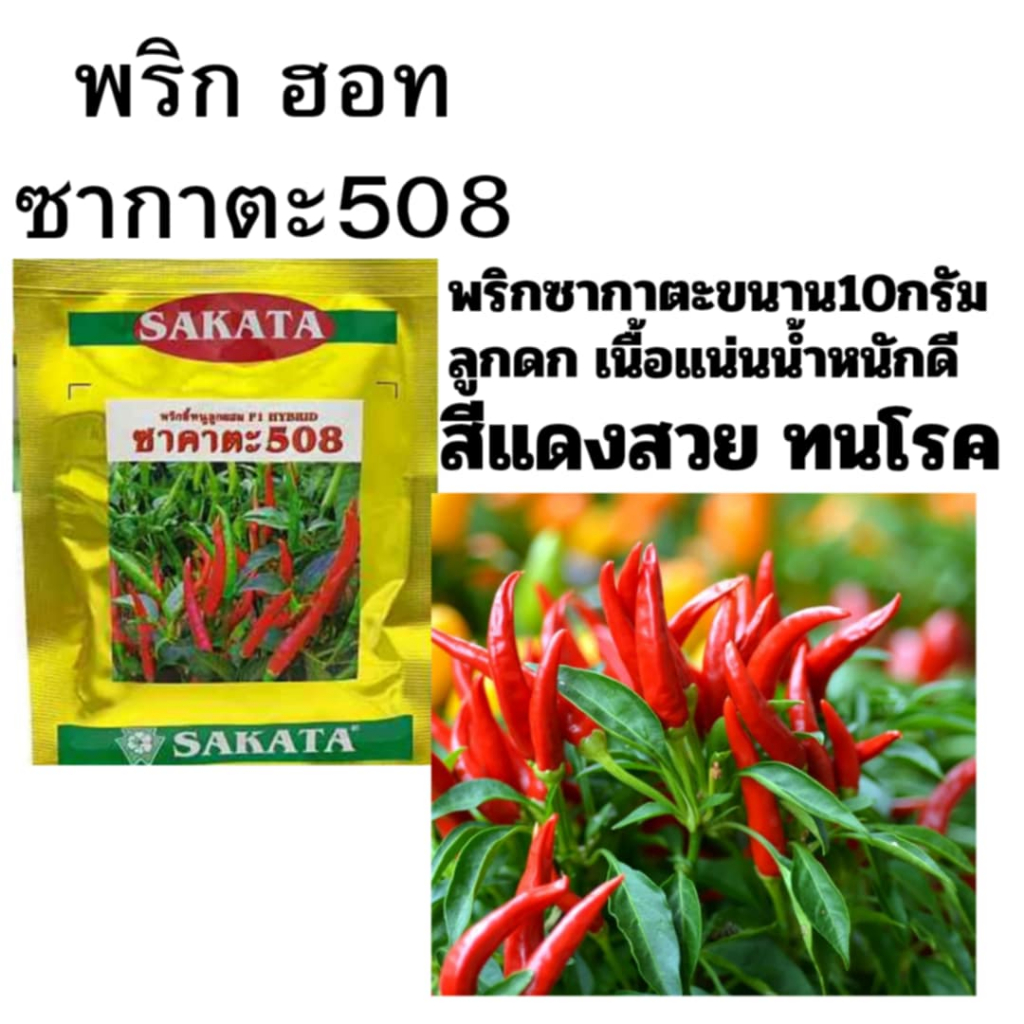 เมล็ดพริกฮอท ซาคาตะ508 ( ขนาด 10 กรัม )แบบซอง