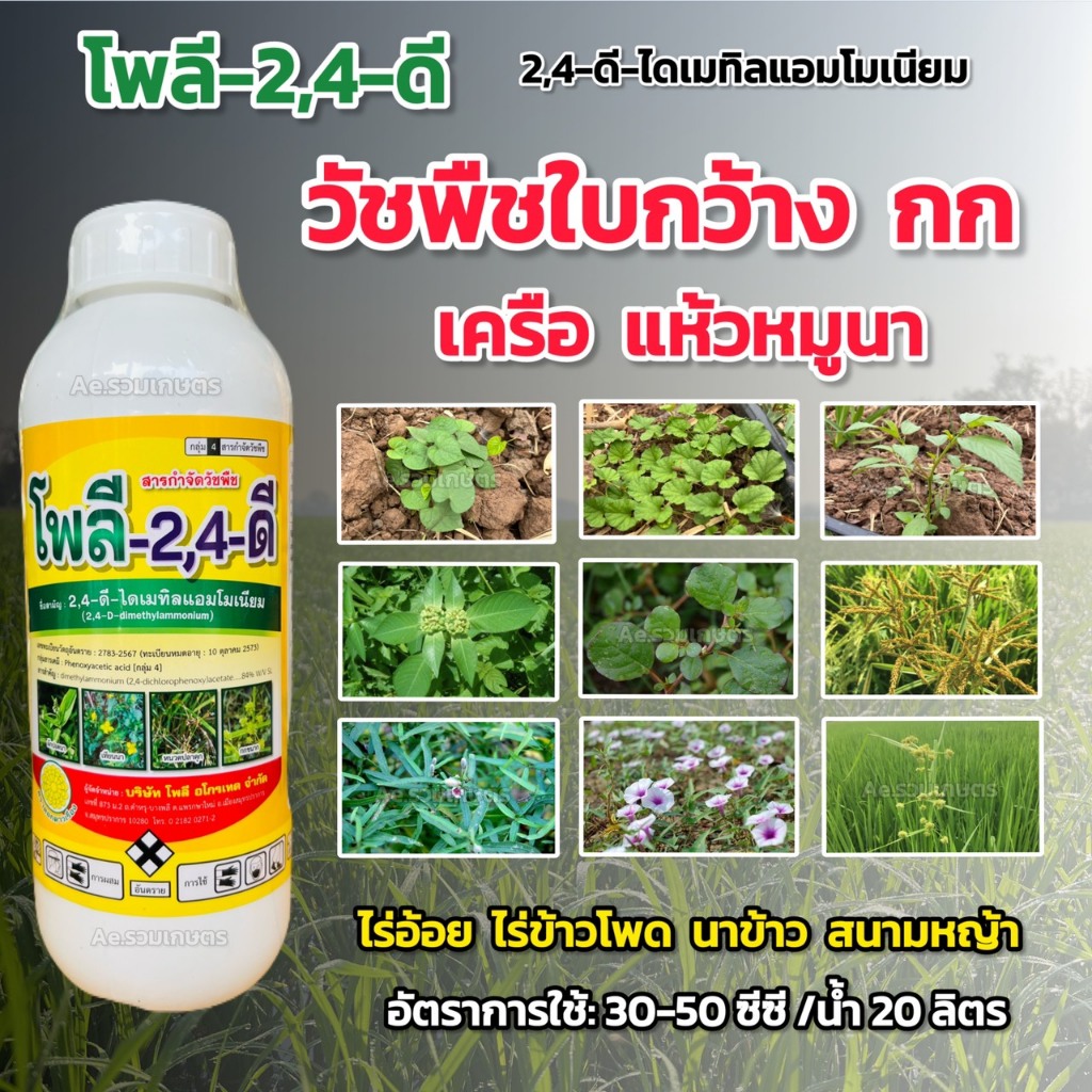 2,4-ดี 24d ทูโฟดี โพลี-2,4-ดี กำจัดวัชพืชใบกว้าง กก ผักบุ้ง แห้วหมู  หญ้าใบกว้าง หญ้ายาง เครือ ผักปอ