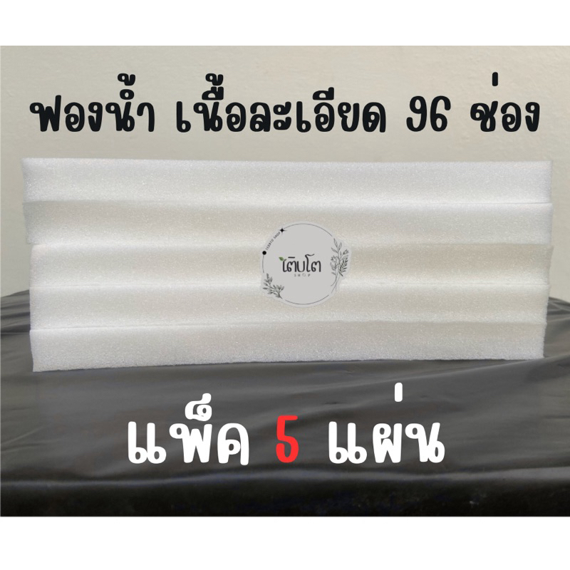 ฟองน้ำปลูกผักไฮโดรโปนิกส์ ฟองน้ำเพาะเมล็ด เนื้อละเอียด แพ็ค 5,10 แผ่น