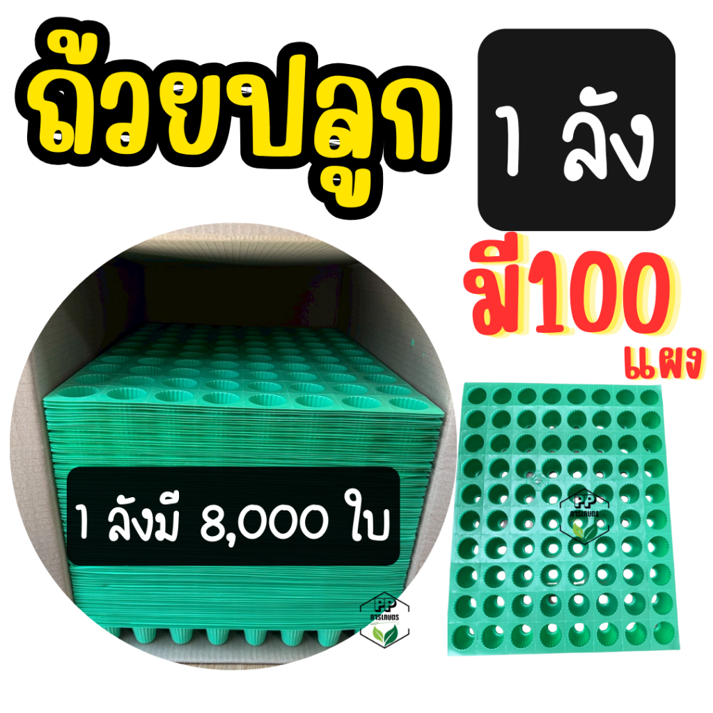 ถ้วยปลูกสีเขียว 100 แผง ถ้วยปลูกผักไฮโดรโปนิกส์ (ชุด 100 รูปที่ 2
