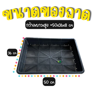 ตะแกรงปลูกผัก ถาดไดโซะ ถาดปลูกผักไฮโดรโปนิกส์ (**ใส่กล่องโฟมได้พอดี**)