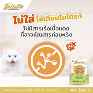 [ยกลัง 48] Bellotta เบลอตต้า อาหารเปียกแมว แมวโต ไม่เติมเกลือ ไม่เค็ม ปลาทู ทูน่า กุ้ง ไก่ แซลมอน ขนาด 85 กรัม x 48 ซอง