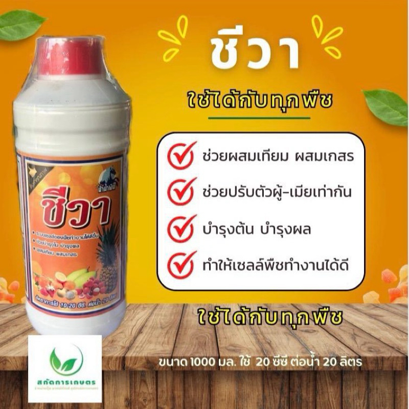 ชีวา ผสมเกสร ผสมเทียม เพิ่มความสมบรูณ์ของดอก ดอกติดดี ผลติดดก ตราม้าน้ำเงิน ขนาด 1 ลิตร ฮอร์โมนพืช