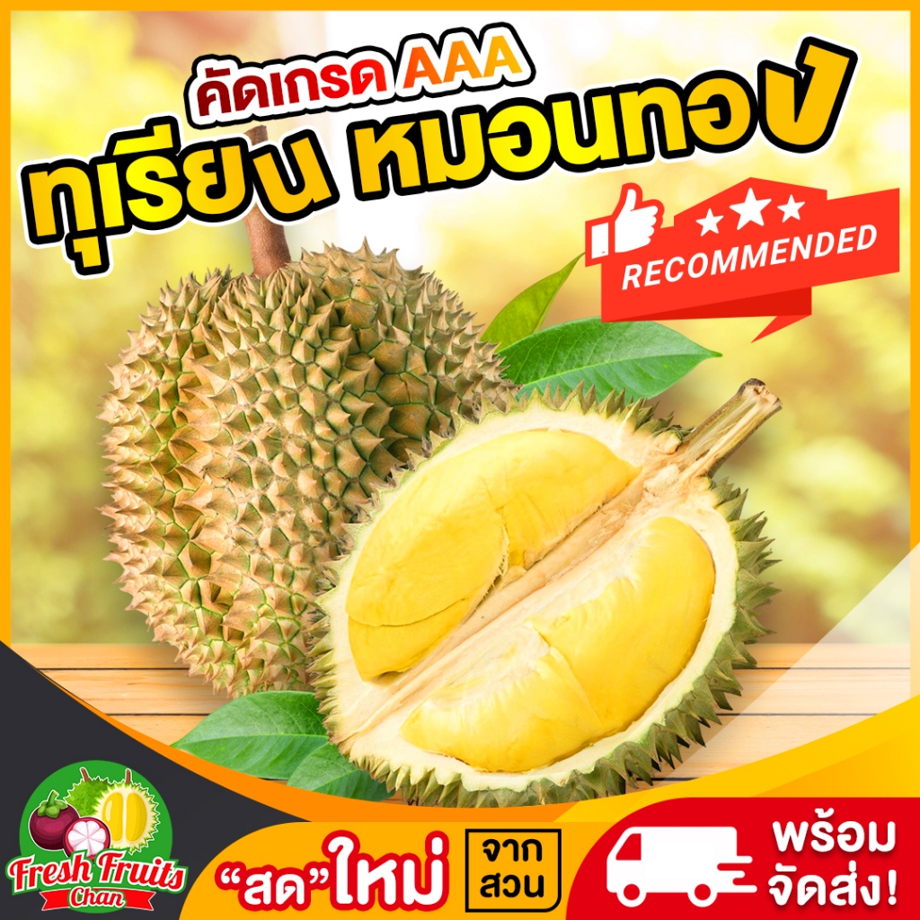 💥จัดส่งเร็ว‼️ทุเรียนหมอนทอง✅ตัดแก่คัดเกรดAAAส่งตรงจากสวนจันทบุรี