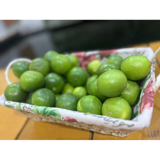 มะนาวแป้นรำไพเบอร์5 (2โล)เปลือกบางน้ำเยอะจัดส่งไว