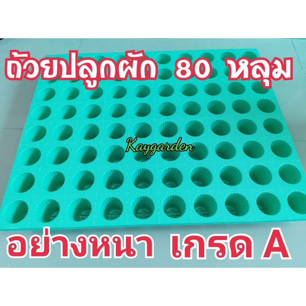 ถ้วยปลูกผักไฮโดรโปนิกส์ สีเขียว 80 หลุม เกรดA แบบหนาเกรดส่งออก