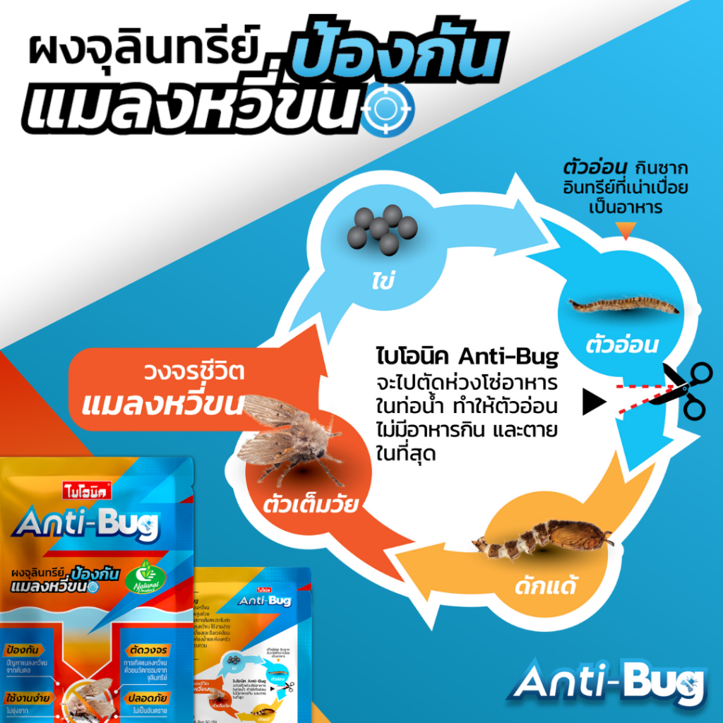 Bionic Anti-Bug 50g* ผงจุลินทรีย์กำจัดแมลงหวี่ขนในท่อน้ำ ป้องกันแมลงหวี่ขน - 1