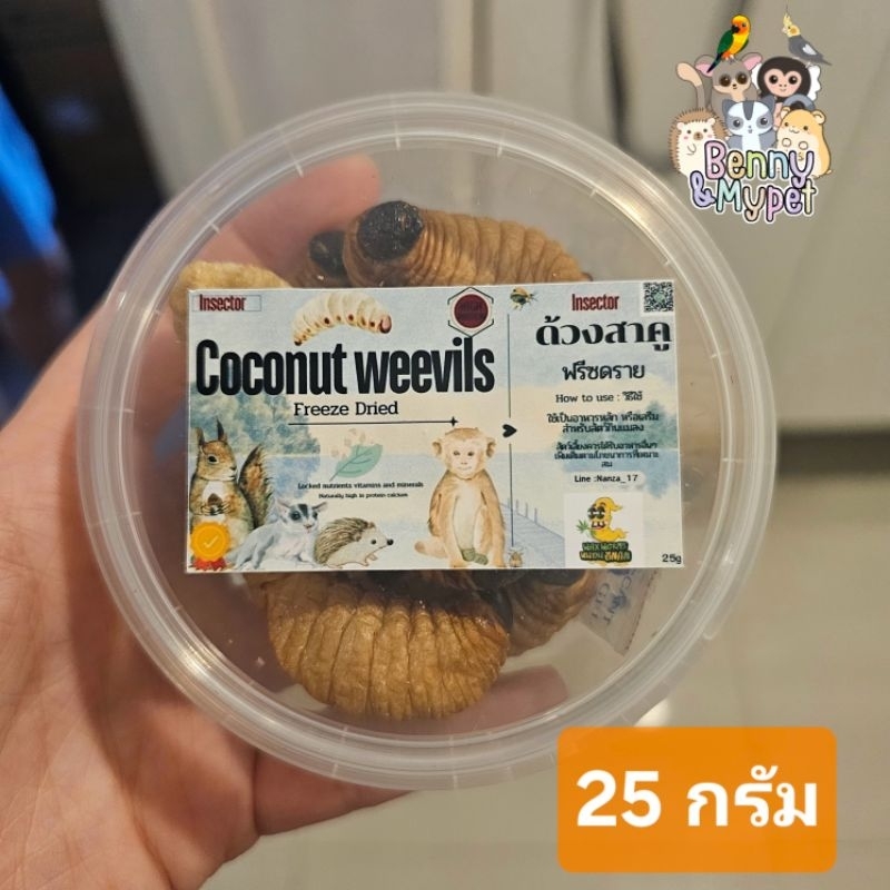 ด้วงอบ ด้วงฟรีซดราย ด้วงสาคู แมลง สำหรับ ชูการ์ไกรเดอร์ แฮมสเตอร์ ดัมโบ้ เม่นแคระ กระรอก แมว บุชเบบี