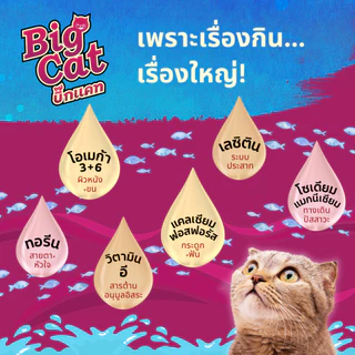 บิ๊กแคท (1กก) BIG CAT อาหารแมวโตโภชนาการครบถ้วน ไม่เค็ม