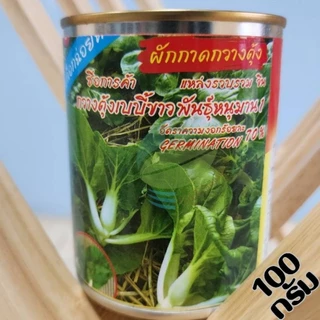 เมล็ดพันธุ์ผัก โหระพา คะน้าฮ่องกง กะเพรา เขียวน้อย คะน้าเห็ดหอม คะน้า แมงลัก ขึ้นฉ่าย ผักบุ้ง ผักกาดหอม กวางตุ้ง ผักชี