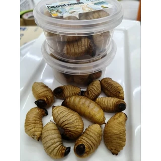 Coconut Weevils Freeze Dried 25g. ด้วงสาคูฟรีสดราย อาหารเสริมสำหรับสัตว์เลี้ยง สัตว์ฟันเเทะ