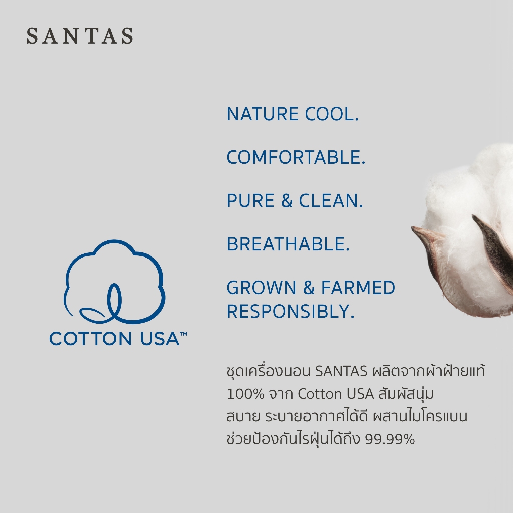 SANTAS ชุดเครื่องนอน ดีไซน์ ROBELIA  ทอ 350 เส้นด้าย COTTON USA เส้นใยฝ้ายบริสุทธิ์ 100% - รูปที่ 5