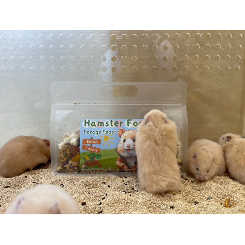 Hamster Food : Forage Feast อาหารผสมแฮมสเตอร์เน้นดอกไม้และsuper food🌸 - รูปที่ 5