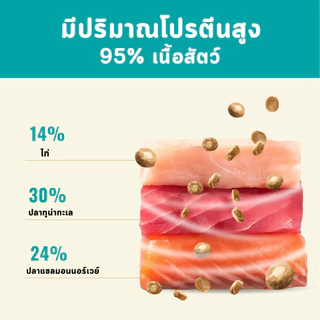 Bite Of Wild B45 แพ็ค 50g, อาหารแมวอบช้า ทูน่าแมว Kibbles 45% เนื้อสูง Grain-ฟรี, ลูกแมวที่เหมาะสมและแมวโต
