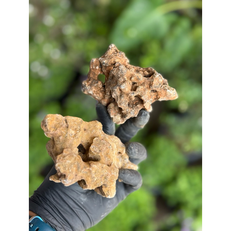 หินก้อนไซส์​เล็กจิ๋ว หินก้อนน้ำตาล สีธรรมชาติ ใช้ตกแต่งสวนถาดและตกแต่งบอนไซเพื่อความสวยงาม