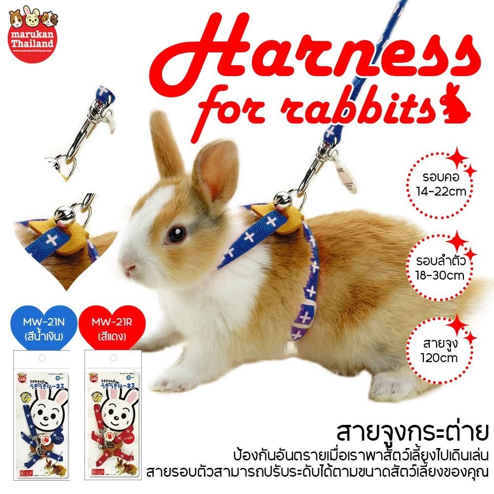 Marukan สายจูงกระต่าย ปลอดภัย สบายตัว พาสัตว์เลี้ยงเดินเล่นอย่างมั่นใจ