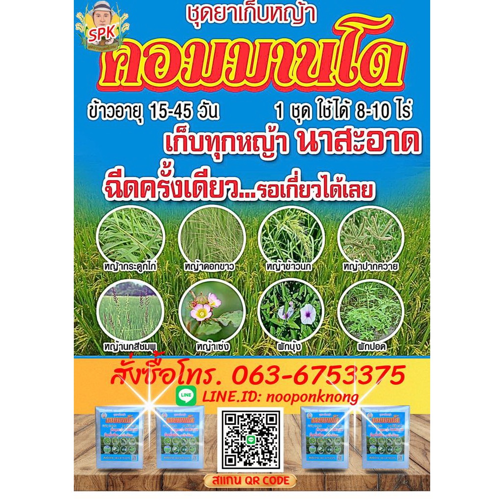 ยาเก็บหญ้าทุกชนิด ชุดเก็บหญ้านาปี คู่หูมือปราบหญ้า⚡️คอมมานโด⚡️ เช่น หญ้าแดง กระดูกไก่ หญ้าปล้อง กก หนวดปลาดุก  หญ้าเซ่งเ