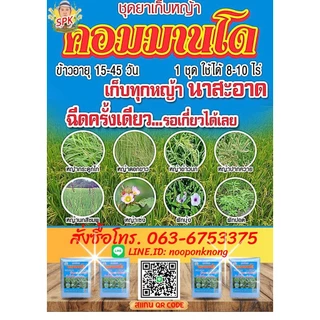 ยาเก็บหญ้าทุกชนิด ชุดเก็บหญ้านาปี คู่หูมือปราบหญ้า⚡️คอมมานโด⚡️ เช่น หญ้าแดง กระดูกไก่ หญ้าปล้อง กก หนวดปลาดุก หญ้าเซ่งเ