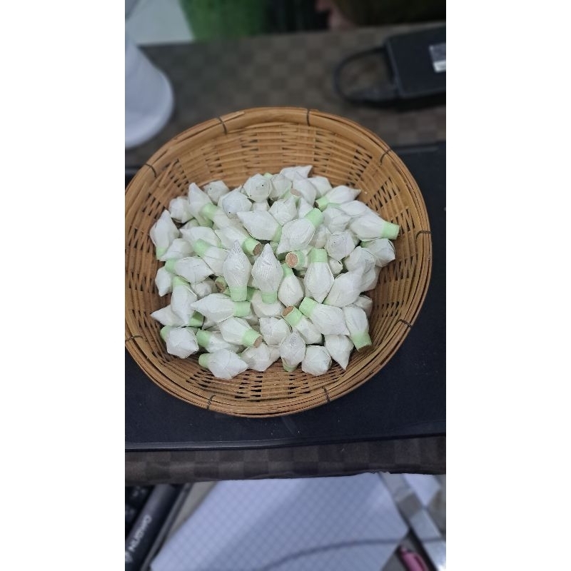 ดอกข่าตูม ดอกข่าผ้า ตูมอวบสวย รูปที่ 4