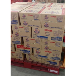 นมตราหมี นมสเตอรีไลส์ แคลเชียมสูง กระป๋องหลือง สูตรดั้งเดิม ขนาด 140 มล.****(ขาย 6 แพ็ค 72 กระป๋อง)