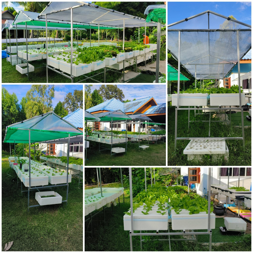 โรงเรือนมินิทรงจั่ว วางได้ 10 กล่อง(วางกล่องกุ้ง) รูปที่ 8