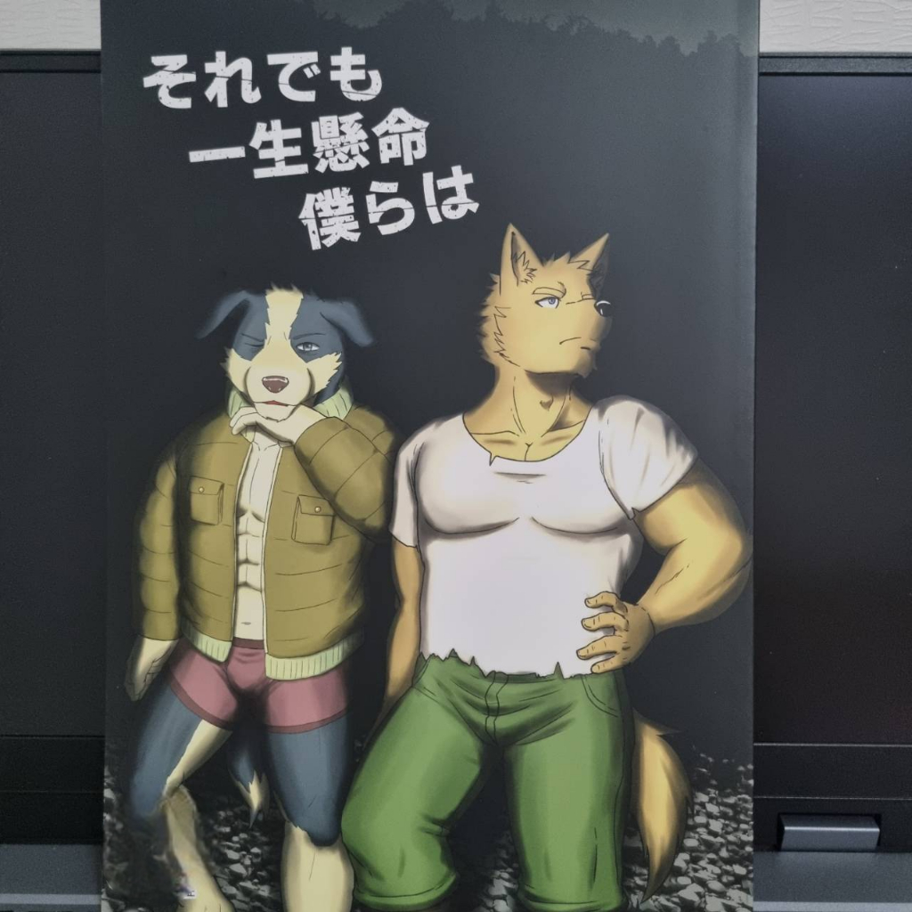 หนังสือ การ์ตูน มือสอง kemono furry BARuGAIN