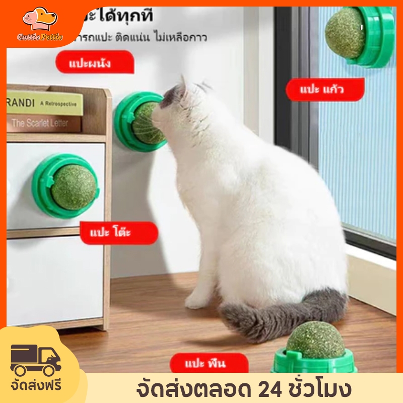 แคทนิปบอล บอลแมวเลีย แคทนิปแมวเลีย กัญชาแมว แคทนิป ขนมแมวเลีย ของเล่นแมวเลีย ติดกำแพง สมุนไพรแมวเลียหมุ่นไ