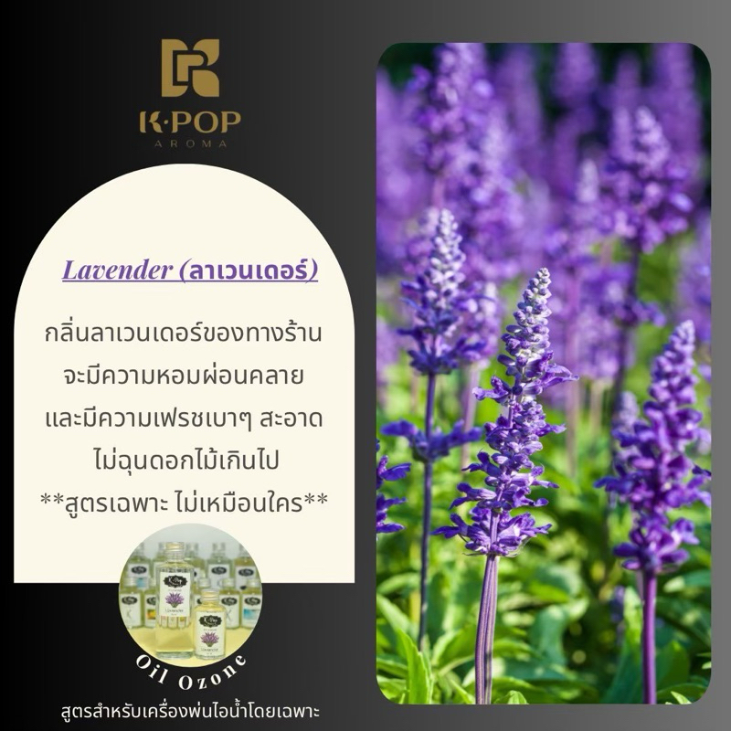 |K-Pop Aroma|⭐️น้ำมันหอมกลิ่นลาเวนเดอร์💧สูตรเครื่องพ่นไอน้ำอโรม่า💦เบาบาง ไม่อุดตัน ไม่มีแอลกอฮอล์ Oi
