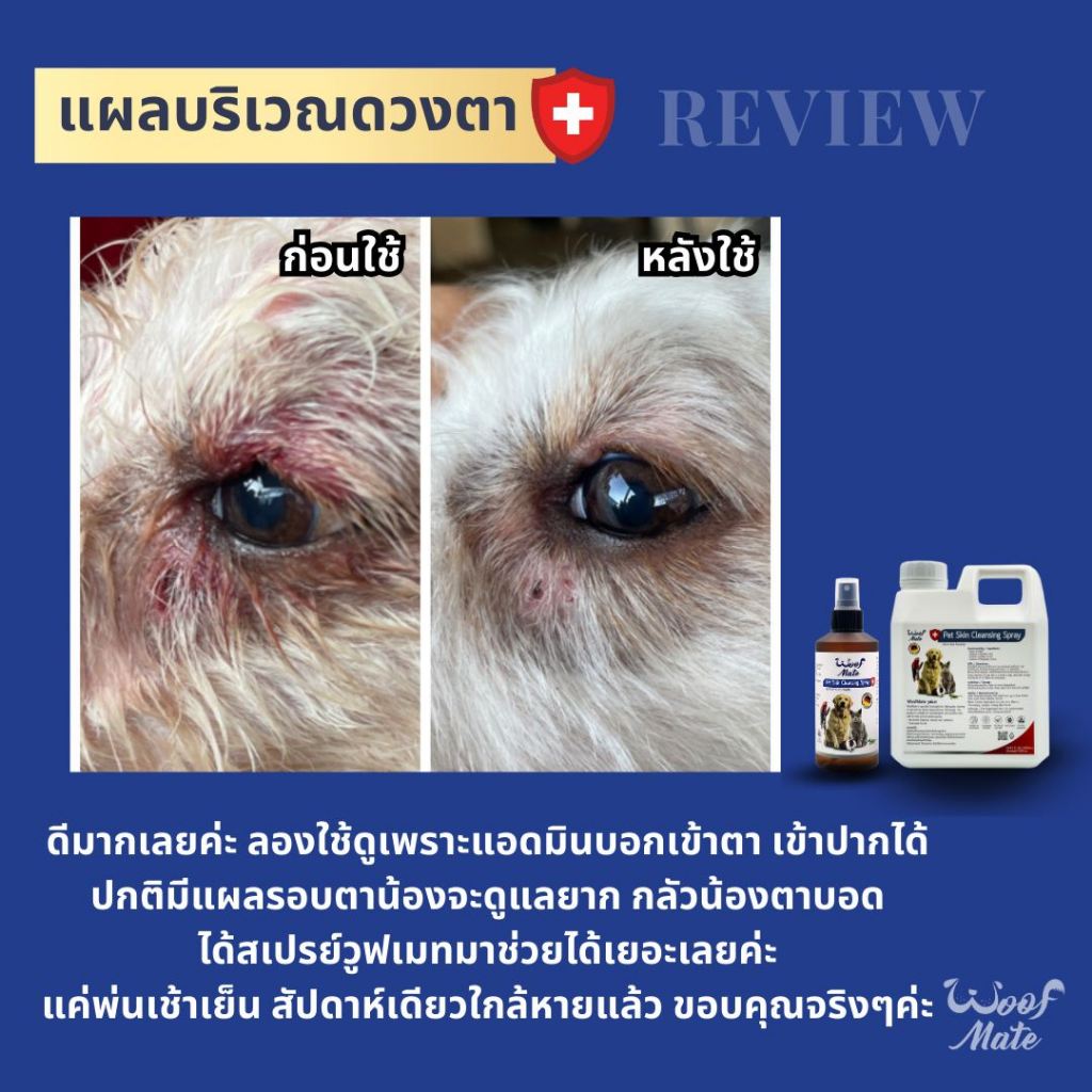 รูปภาพ 4