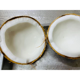 มะพร้าวทึนทึกอ่อน สำหรับทำขนม 🥥 🌴บางสะพาน-ทับสะแก (1-1.5 กิโลกรัม/ลูก) สดใหม่จากสวน