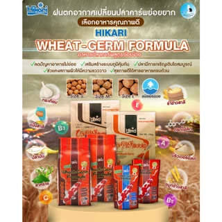 Hikari Wheat-Germ Formula 15 kg 📍เม็ดลอย📍 อาหารสูตรผสมจมูกข้าวสาลี ย่อยง่าย