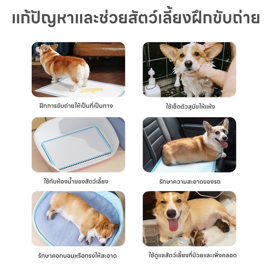 แผ่นรองฉี่ สุนัข แมว ซึมซับไดีดี ต่อต้านแบคทีเรีย แผ่นรองฉี่ ผ้ารองฉี่สุนัข แผ่นรองฉี่แมว ไม่มีการรั่วไหล - รูปที่ 6