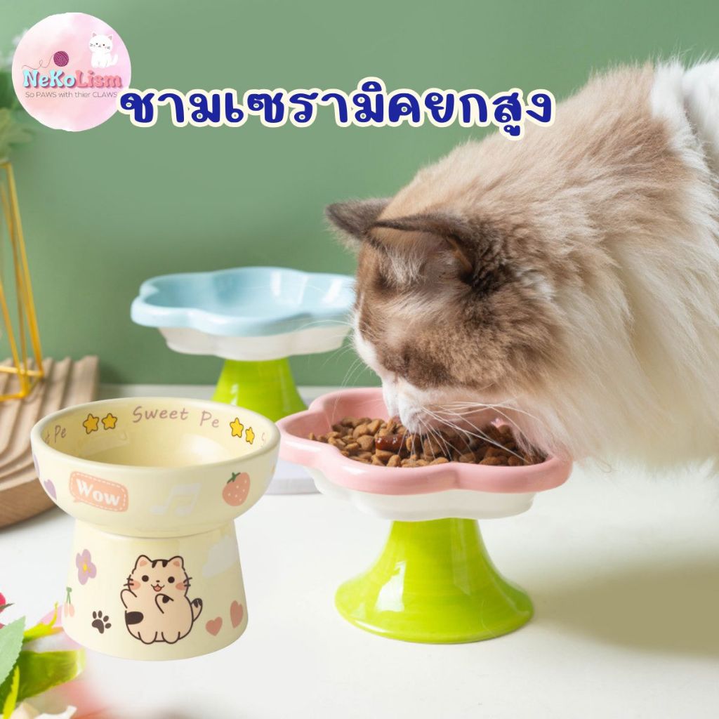 ชามเซรามิคยกสูงลายดอกไม้ ชามอาหารแมว จานอาหารแมว ที่ให้อาหาร Bowl เซรามิก