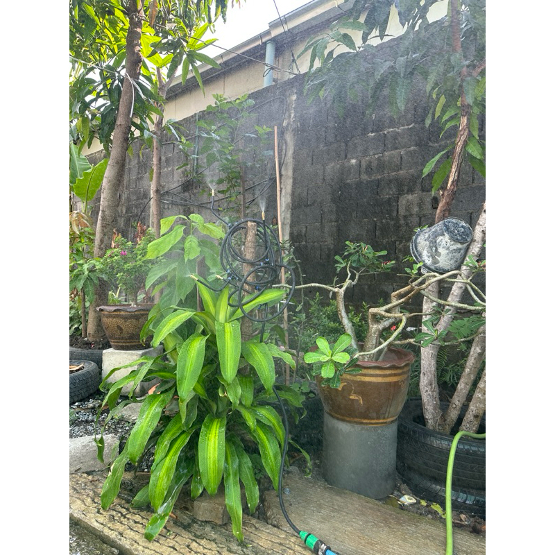 ชุดพ่นหมอก รุ่นใหม่ หัวพ่นหมอก ดัดได้ งอได้ รุ่นใหม่ 5เมตร 10เมตร ชุดละอองหมอก หัวทองเหลือง ครบชุด ประกอบง่าย - รูปที่ 5