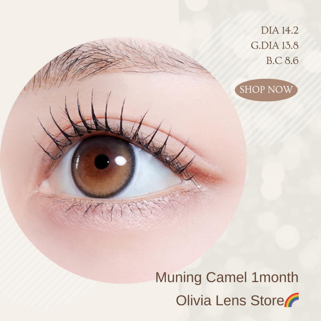 myfipn Muning Camel คอนแทคเลนส์เกาหลี คอนแทคเลนส์รายเดือน