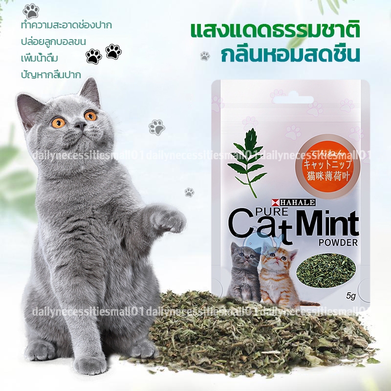 พร้อมส่ง😺แคทนิปแมว😺 ผงแคทนิป แคทนิป ของเล่นแมว 5 กรัม / ถุง แบบผงบดละเอียด คลายเครียดให้แมว หอม ทานง่าย