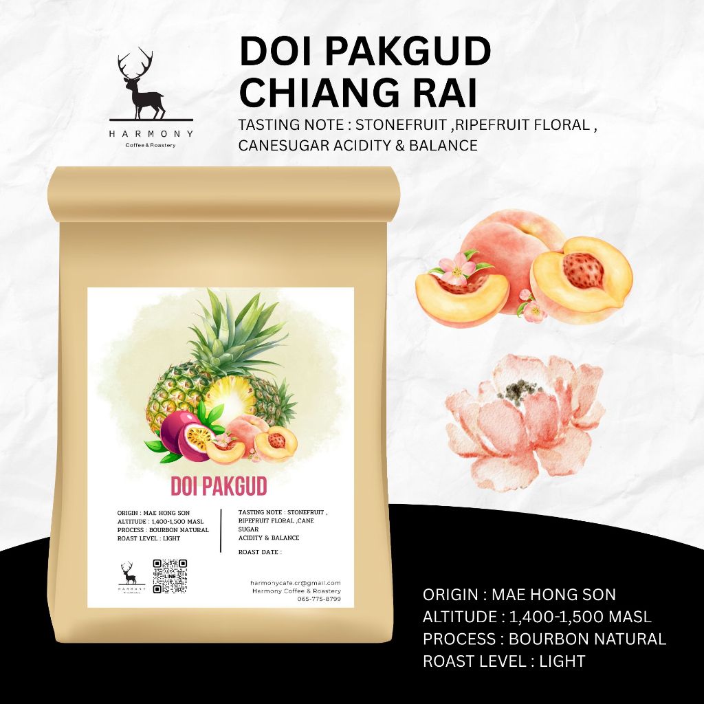 Doi Pakgud : Harmony Coffee เมล็ดกาแฟคั่วอ่อนดอยผักกูด แม่ฮ่องสอน