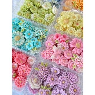 อาลัวเซตสวนดอกไม้ และดอกไม้นานาชนิดสีสันสดใส สูตรหวานมันกำลังดีต้นตำรับสูตรคุณยาย By jasmine